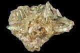 Quartz Crystals with Black Tourmaline (Schorl) - Namibia #69187-2